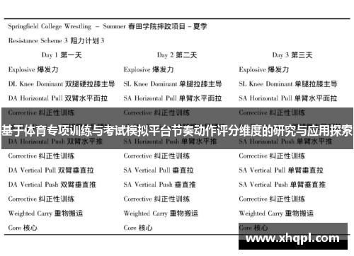 基于体育专项训练与考试模拟平台节奏动作评分维度的研究与应用探索